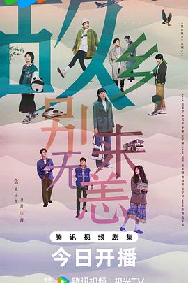 招商加盟网站优化运营